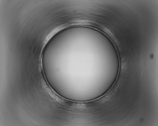 X0000116301370200912141325