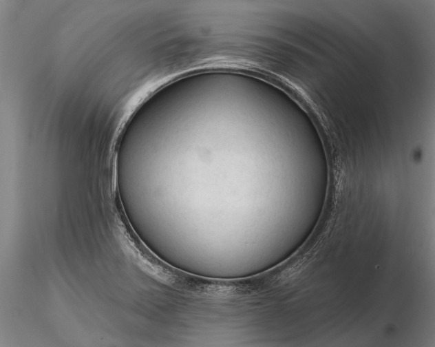 X0000116301371200912141325