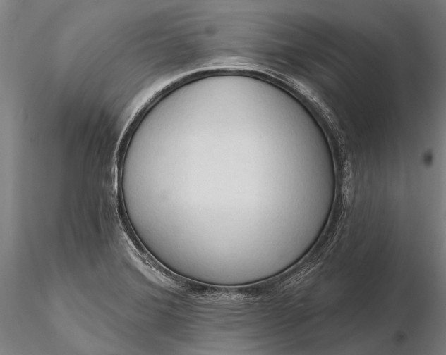 X0000116301372200912141325