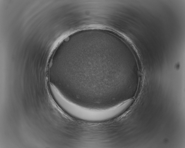 X0000116301373200912141325