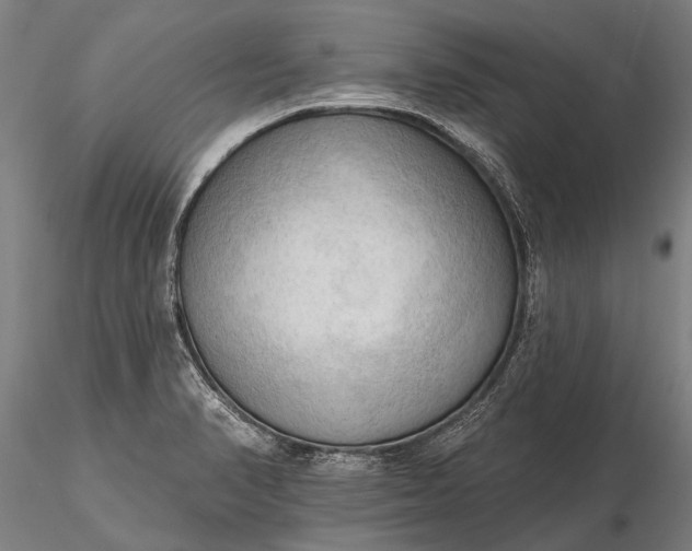 X0000116301374200912141325