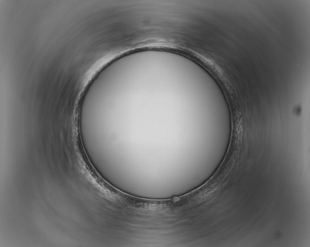 X0000116301375200912141325