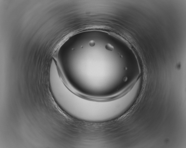 X0000116301377200912141325