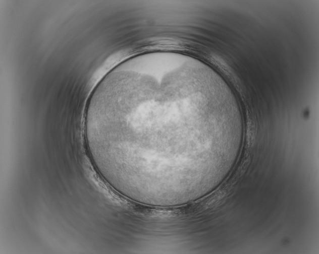 X0000116301378200912141325