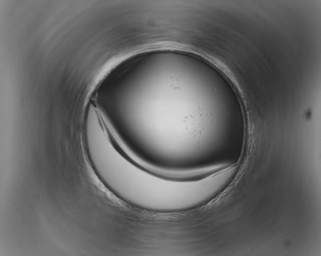 X0000116301381200912141325