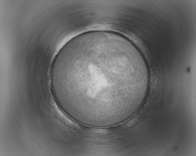 X0000116301382200912141325