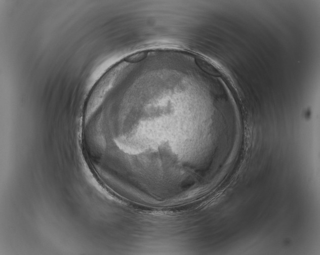 X0000116301383200912141325