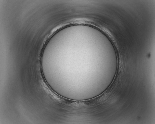 X0000116301384200912141325