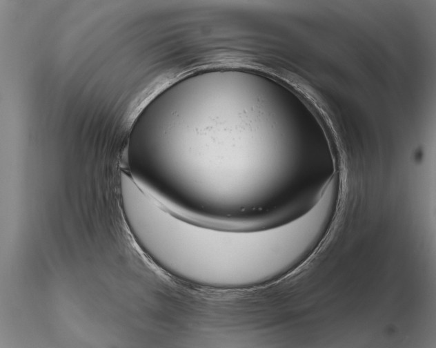 X0000116301385200912141325