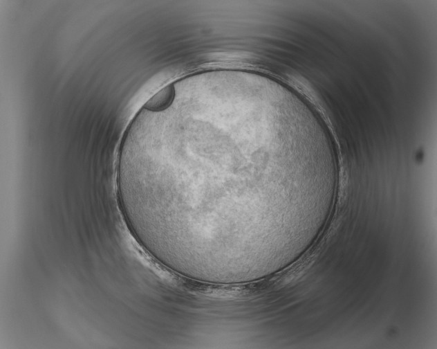 X0000116301386200912141325