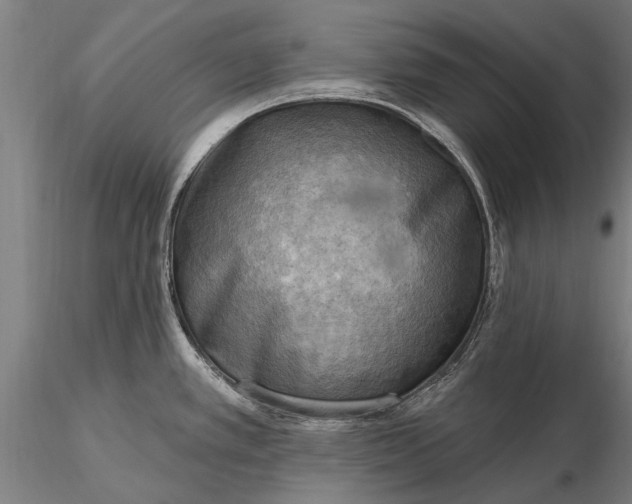 X0000116301389200912141325