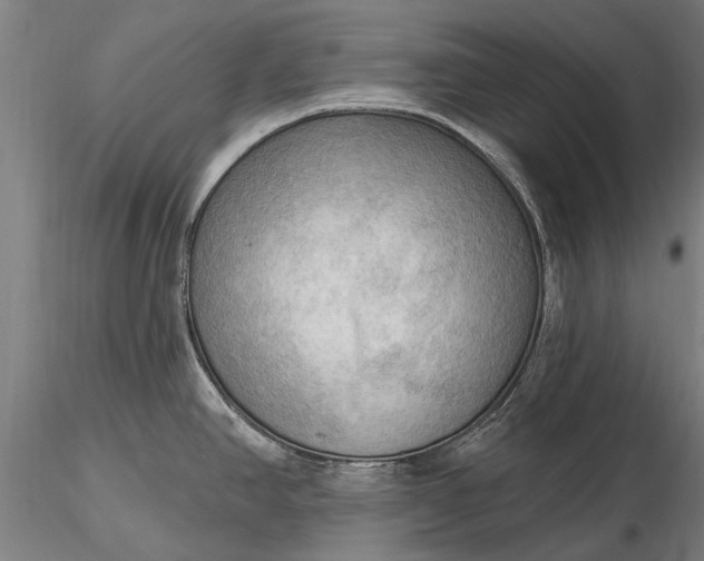 X0000116301390200912141325