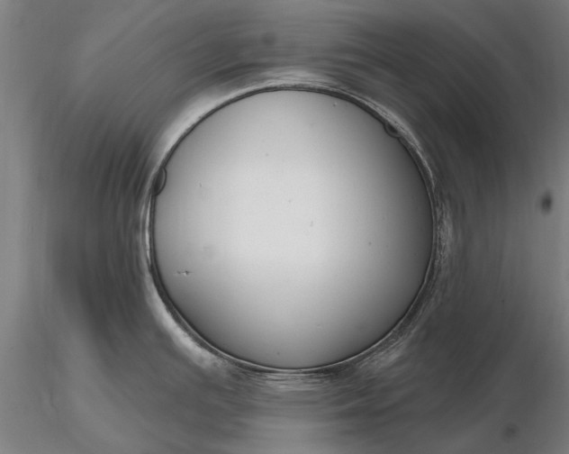 X0000116301391200912141325