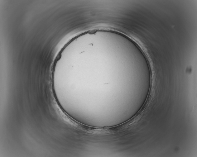 X0000116301392200912141325