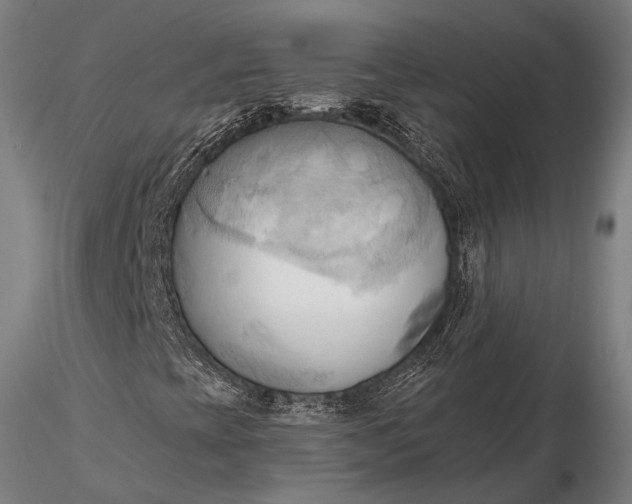 X0000116301393200912141324