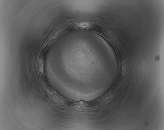 X0000116301394200912141324