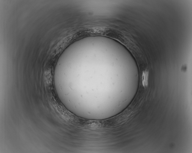 X0000116301395200912141324