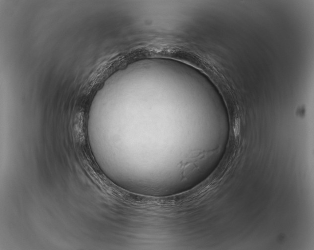 X0000116301396200912141324