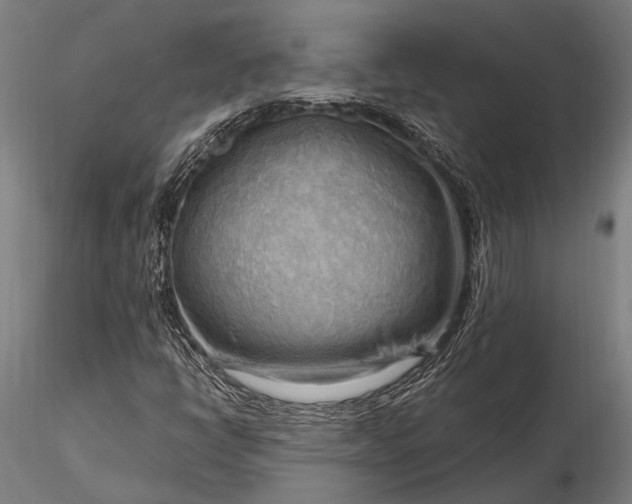 X0000116301398200912141324