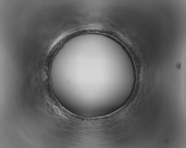 X0000116301400200912141324