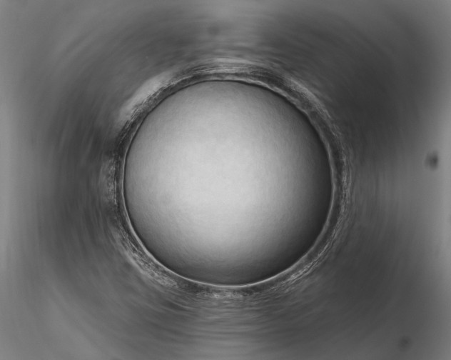 X0000116301403200912141324