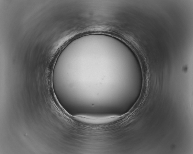 X0000116301404200912141324