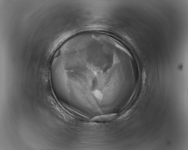 X0000116301405200912141324