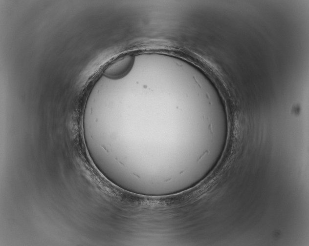 X0000116301407200912141324