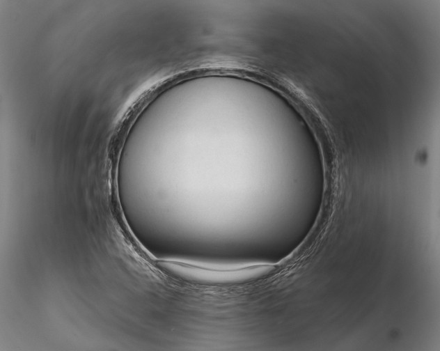 X0000116301408200912141324