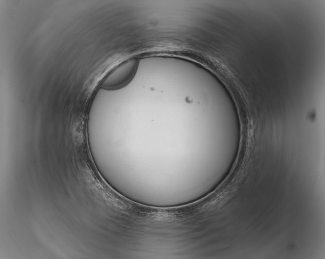 X0000116301409200912141325