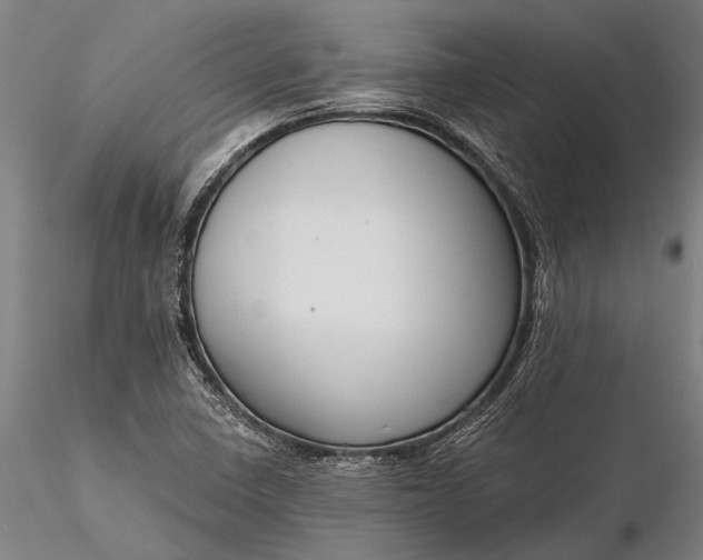 X0000116301410200912141325