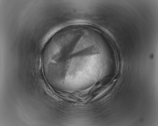 X0000116301413200912141325