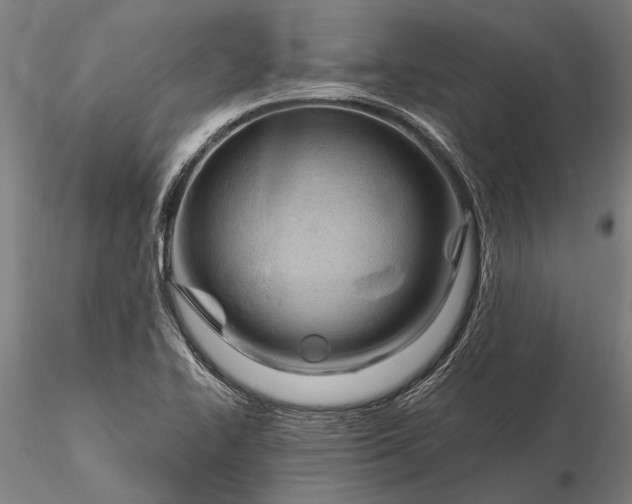 X0000116301414200912141325