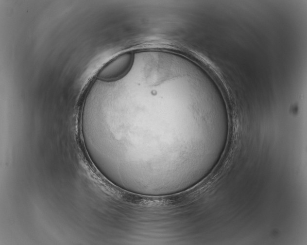 X0000116301415200912141325