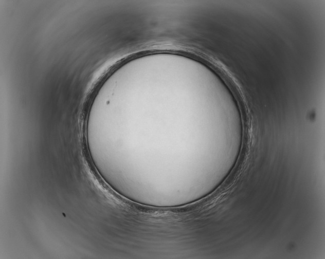 X0000116301416200912141325