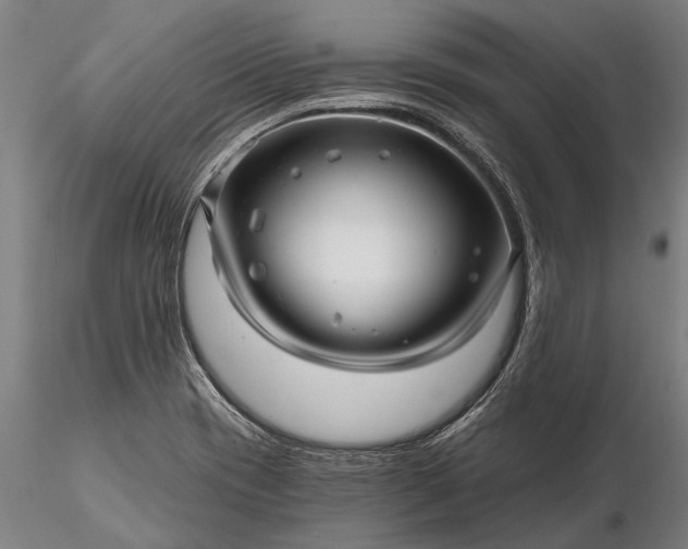 X0000116301417200912141325