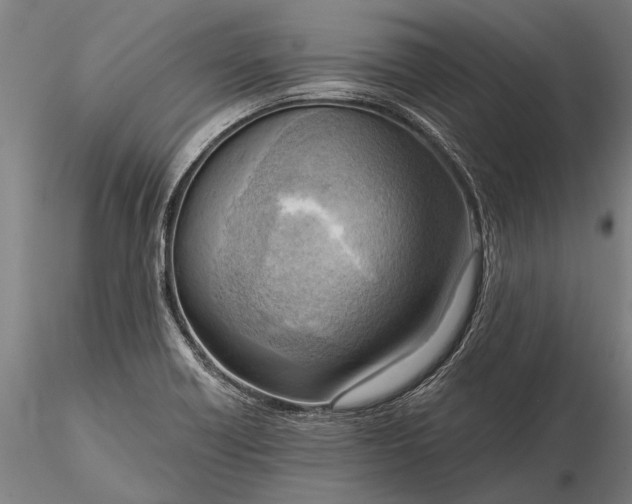 X0000116301418200912141325