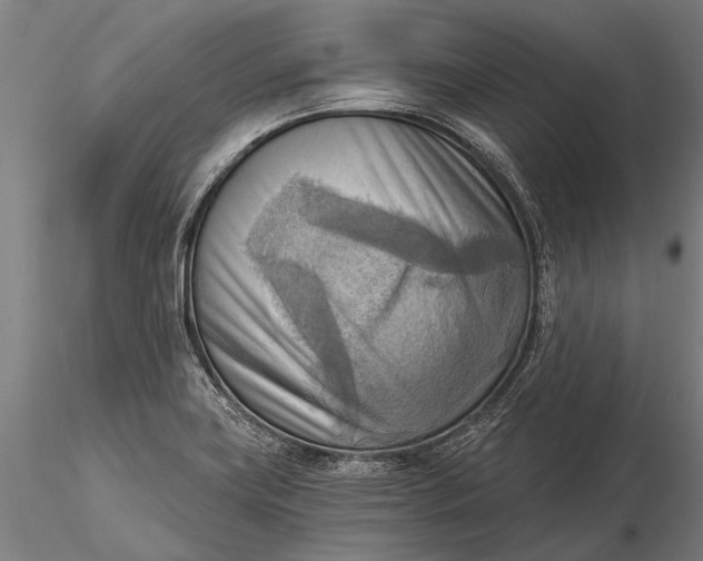 X0000116301419200912141325