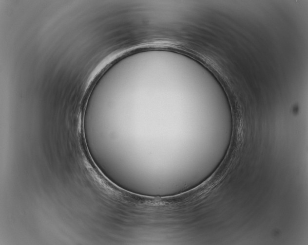 X0000116301420200912141325