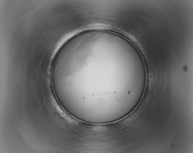 X0000116301421200912141325