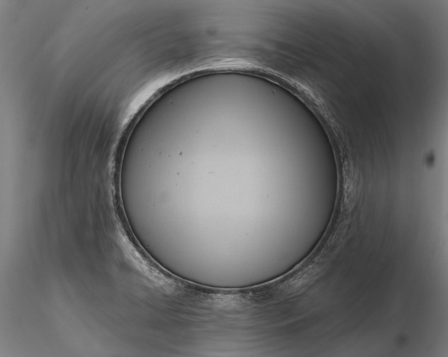 X0000116301422200912141325