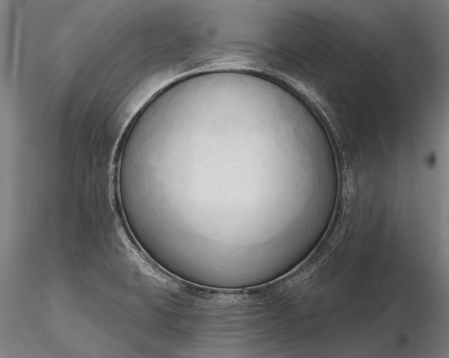 X0000116301423200912141325