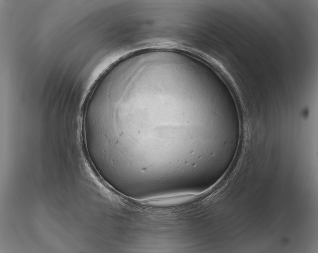 X0000116301424200912141325