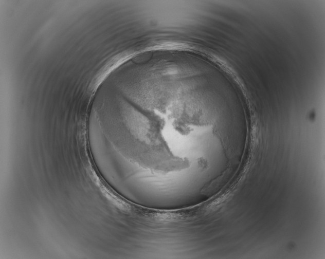 X0000116301425200912141325