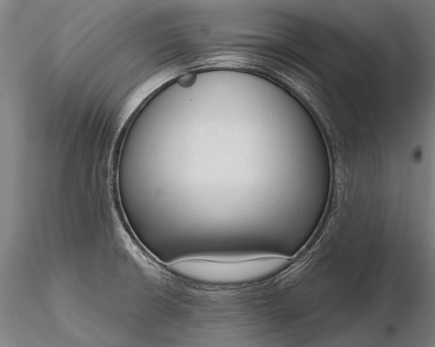 X0000116301426200912141325