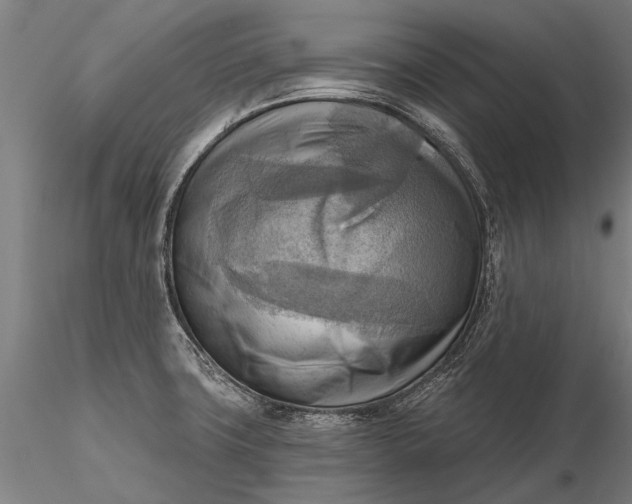 X0000116301427200912141325