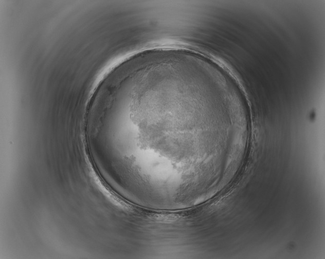 X0000116301429200912141325