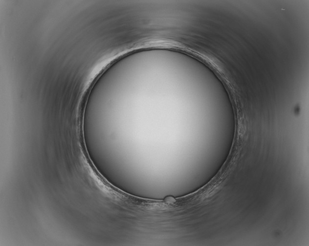 X0000116301430200912141325