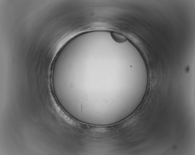 X0000116301431200912141325