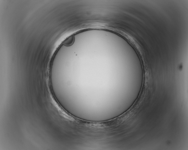 X0000116301432200912141325